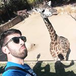 Profile Picture of Patrick Haddad (@parapapat) on Instagram