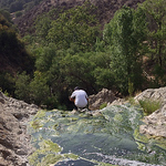 Profile Picture of Brendan Monahan (@bjmpi1992) on Flickr