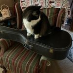 Profile Picture of Candy Crooks-watts (@dingdongcandy) on Instagram