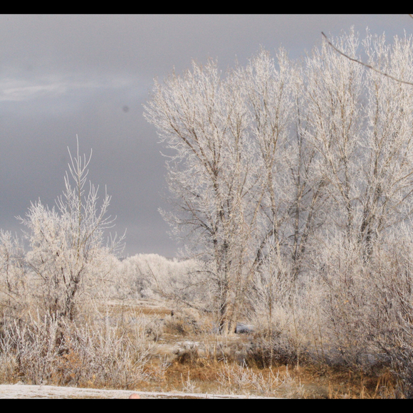 Profile Picture of Ginger Flock (@gf33) on Poshmark