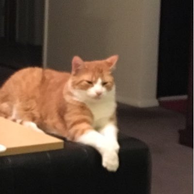 Profile Picture of Patrick Sulaka (@StillmariahP) on Twitter