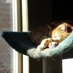 Profile Picture of Matthew Barrick (@barrick) on Facebook