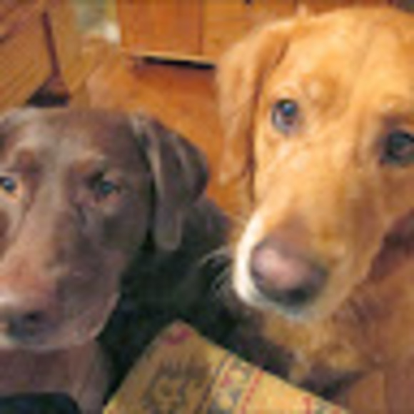 Profile Picture of Laurel Goertzen (@laurellgoertzen) on Poshmark