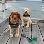 Profile Picture of Craig Stanbridge (@craig.stanbridge.2025) on Facebook