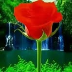 Profile Picture of Hæşâń Barkhad Gantaal (@Hæşâń-Barkhad-Gantaal) on Facebook