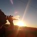 Profile Picture of Fernando Fradel (@fernandofradel) on Pinterest
