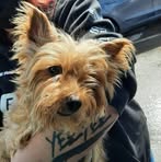 Profile Picture of Marlene Eckman (@marlene.eckman) on Facebook