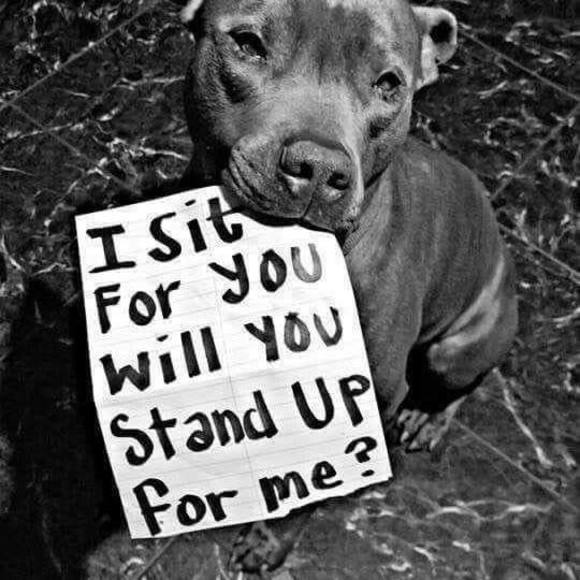 Profile Picture of Melanie Lachecki (@melanielachecki) on Poshmark