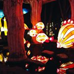 Profile Picture of 四叶草🍀 (@ariellinlucky) on Instagram