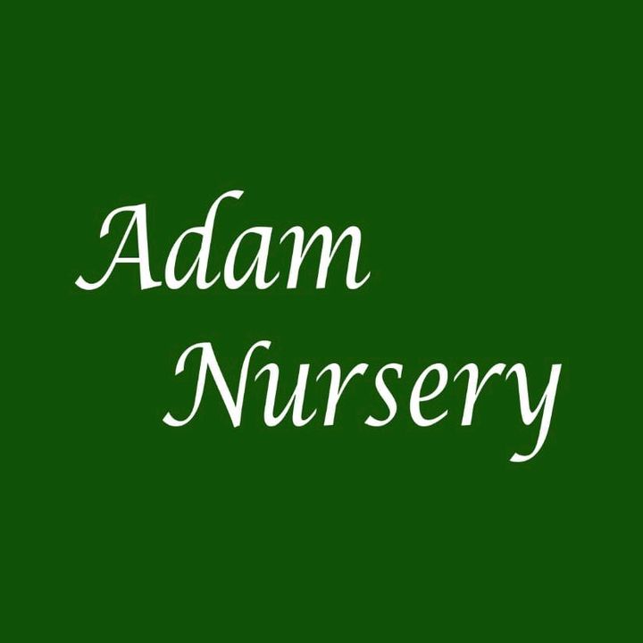 Profile Picture of Adam Nursery 🌿 (@adam.nursery1) on Tiktok