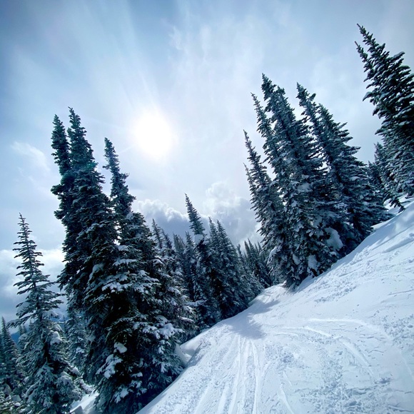 Profile Picture of Shawntei Michell (@shawnteimichell) on Poshmark