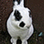 Irishka Mischka - Flickr Profile Picture of Irishka Mischka (@micha-pics) on Flickr