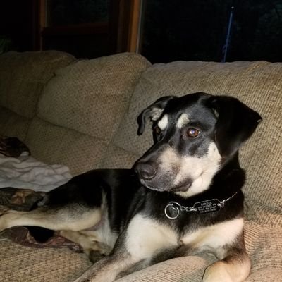 Profile Picture of Steve KUHNS (@steve_kuhns) on Twitter