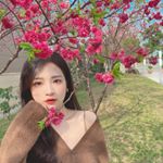 Profile Picture of 𝐀𝐥𝐢𝐜𝐞 𝐥𝐞𝐞♡♡ (@alice8612) on Instagram