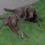 Profile Picture of Tracey Pennell Watson (@pennellwatson) on Instagram