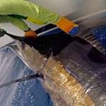 Profile Picture of Luis Roque (@luis.roque.7798) on Instagram