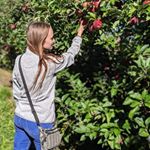 Profile Picture of Elizabeth Bein (@lizzardbreath03) on Instagram