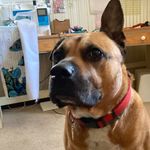 Profile Picture of Nancy Frost (@nanfrost) on Instagram