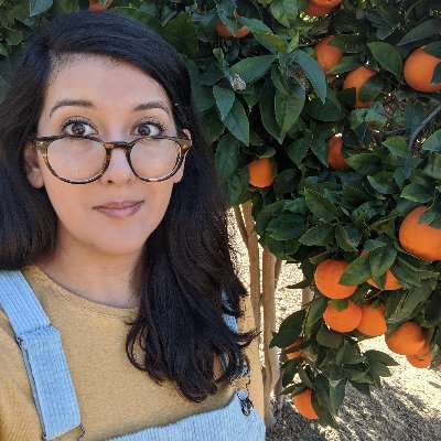 Profile Picture of Laura Villareal (@earthandstars) on Twitter