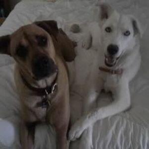 Profile Picture of Kim Peacock (@rdhd1dr) on Myspace