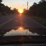 Profile Picture of Robert Harris (@bringlifedistributions) on Instagram