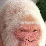 Profile Picture of Mark Nickle (@mark.nickle) on Instagram