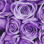 Profile Picture of Annabelle Gallegos (@annabellegallegos2) on Instagram