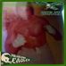 Profile Picture of Ralph A Nicastro (@ralph.a.nicastro) on Facebook
