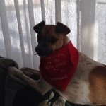 Profile Picture of Amy Connelly Weinschenk (@amyweins) on Instagram