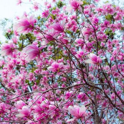 Profile Picture of Sona Singh (@sonasingh19835) on Twitter