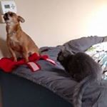 Cindy Becker - Instagram Profile Picture of Cindy Becker (@cindysu4) on Instagram