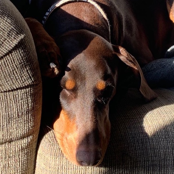 Profile Picture of Emily Wahrmann (@emilyequine) on Poshmark