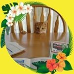 Profile Picture of Susan Kivler (@susankivler) on Instagram
