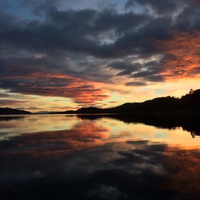 Profile Picture of Stephen Penman (@stephen_penman) on Twitter