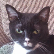 Profile Picture of Jeff Beyer (@ambulet) on Youtube