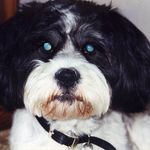 Profile Picture of David Stops (@david.stops.9) on Instagram