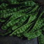 Profile Picture of felix regan (@ira_febrianty_regan) on Instagram