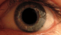 Profile Picture of Pupillary responseon Wikipedia