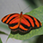 Profile Picture of Jason Kisner (@jason kisner) on Flickr