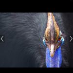 Profile Picture of Pam Emerson (@pamemerson) on Instagram