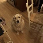 Profile Picture of Brandon Dicke (@brandon.dicke) on Instagram