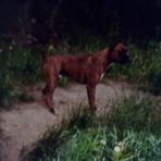 Profile Picture of Kevin Calkins (@Kevin-Calkins) on Facebook