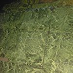 Profile Picture of adambovan (@adambovan31) on Instagram