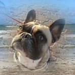 Profile Picture of Catherine Macri (@catherine.macri.3) on Facebook