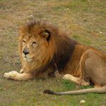 Profile Picture of SHAWNDA (@shawndakatten0) on Instagram