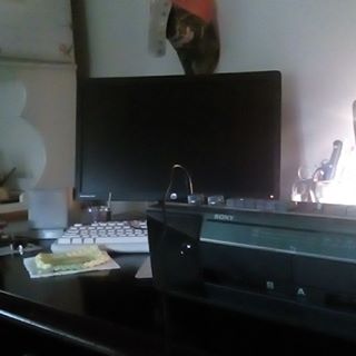 Profile Picture of Jeffrey Bates (@Jeffrey-Bates) on Facebook