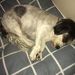 Profile Picture of Nicholas Dowling (@nicholasdowling1966) on Pinterest