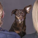 Profile Picture of Dustin Koperski (@karmas_a_biche) on Instagram