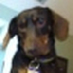 Profile Picture of Collin.robertson.50 (@collin.robertson.50) on Flickr