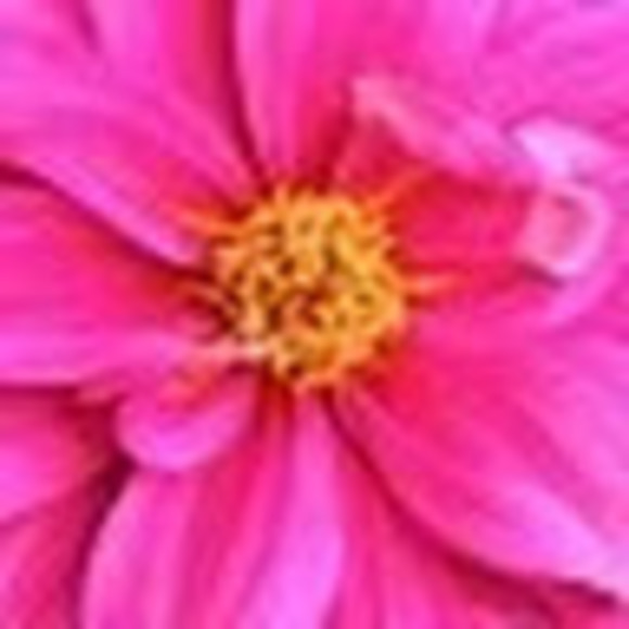 Profile Picture of Mary Broome (@mkbr193) on Poshmark